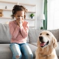 Reduce Allergens with Bryant Air Filters & Duct Repair: The Key to Stopping Dust, Pollen & Pet Dander from Recirculating in Your Home