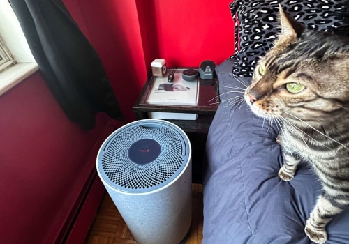 Best 12x16x4 Air Filter for Households With Cats and Dogs